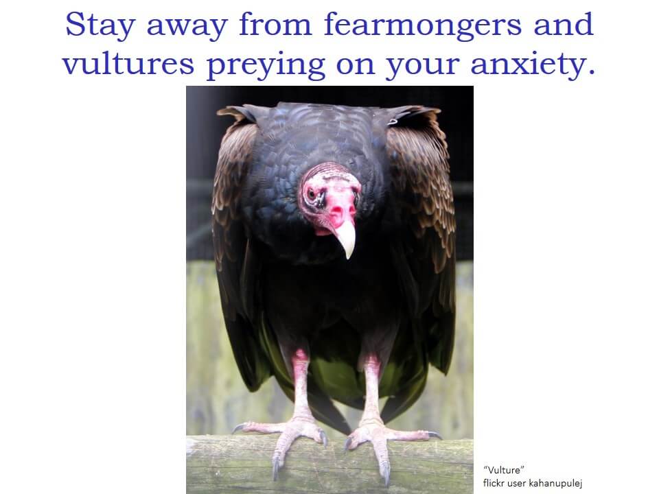 "Stay away from fearmongers and vultures preying on your anxiety" and a photo of a vulture.